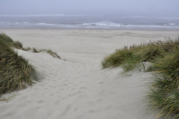 a super steep drop down to the beaach and the Pacific Ocean